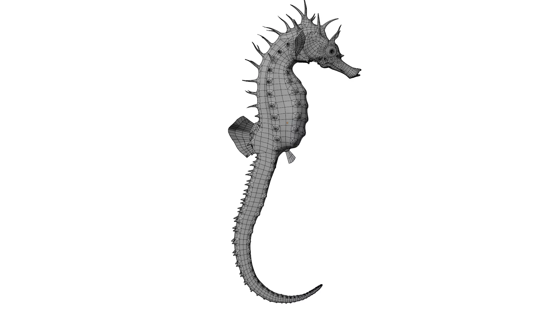 Seahorse 3D model_14