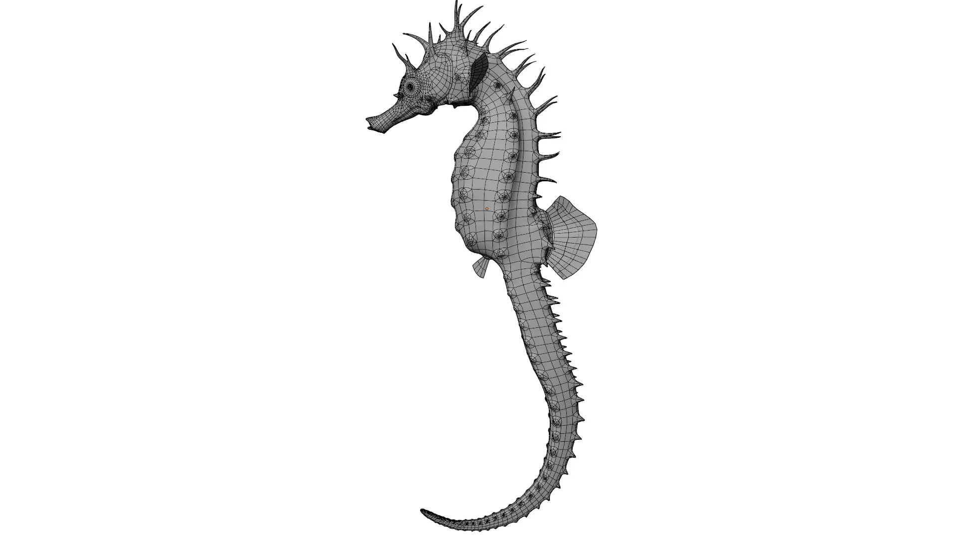 Seahorse 3D model_10