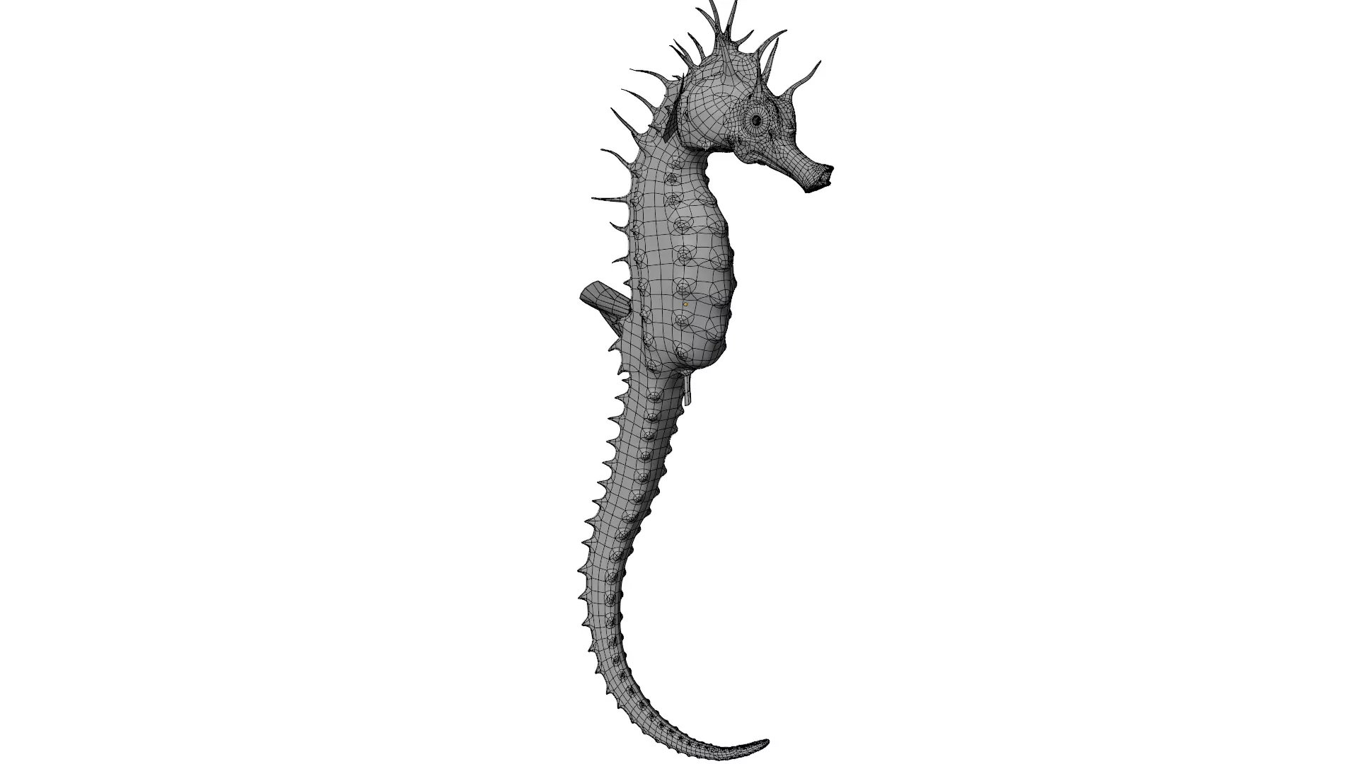 Seahorse 3D model_15