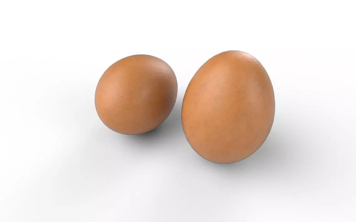 Egg M03 Low-poly 3D model_6
