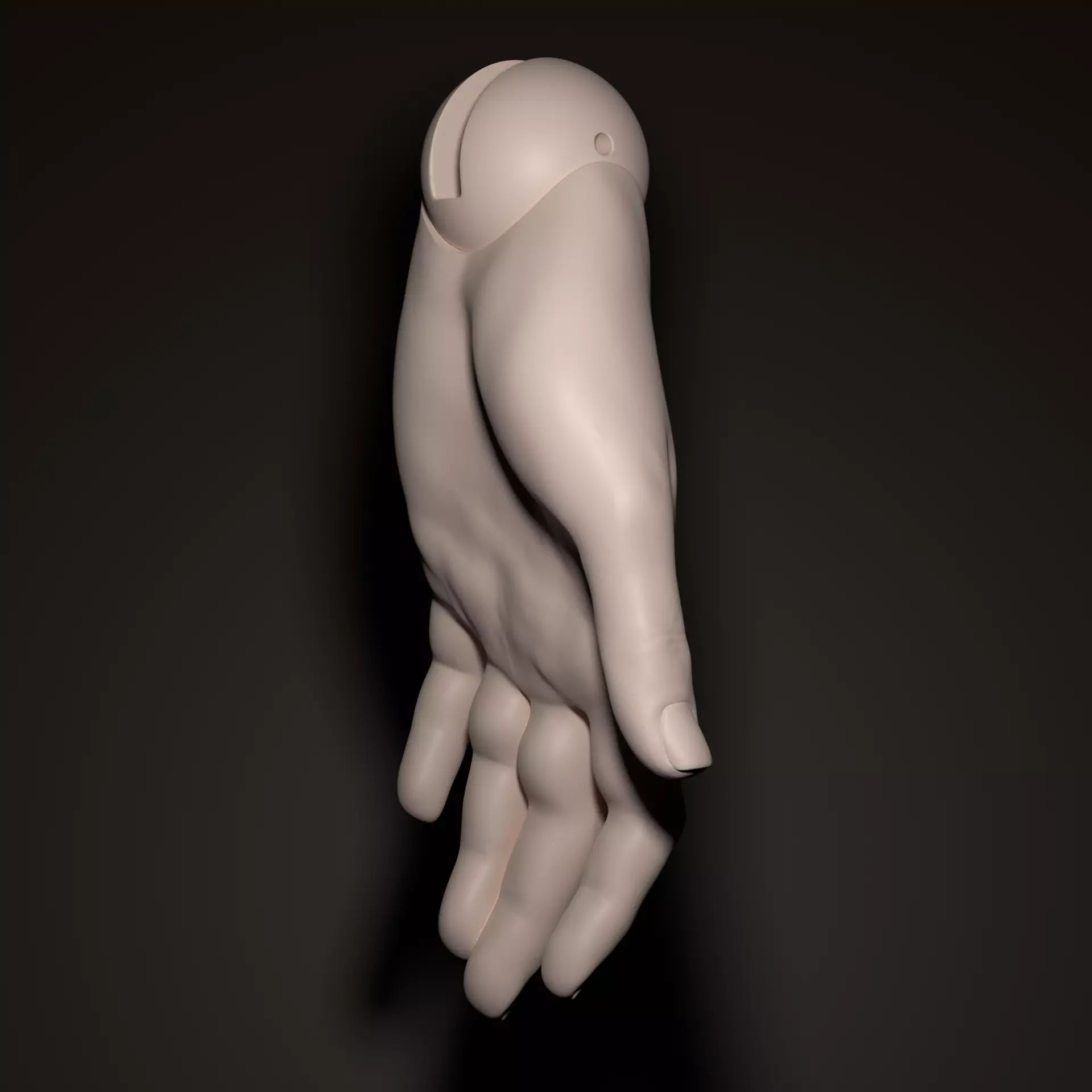 Model LK - Anatomical BJD Hands 3D Project 3D model_2