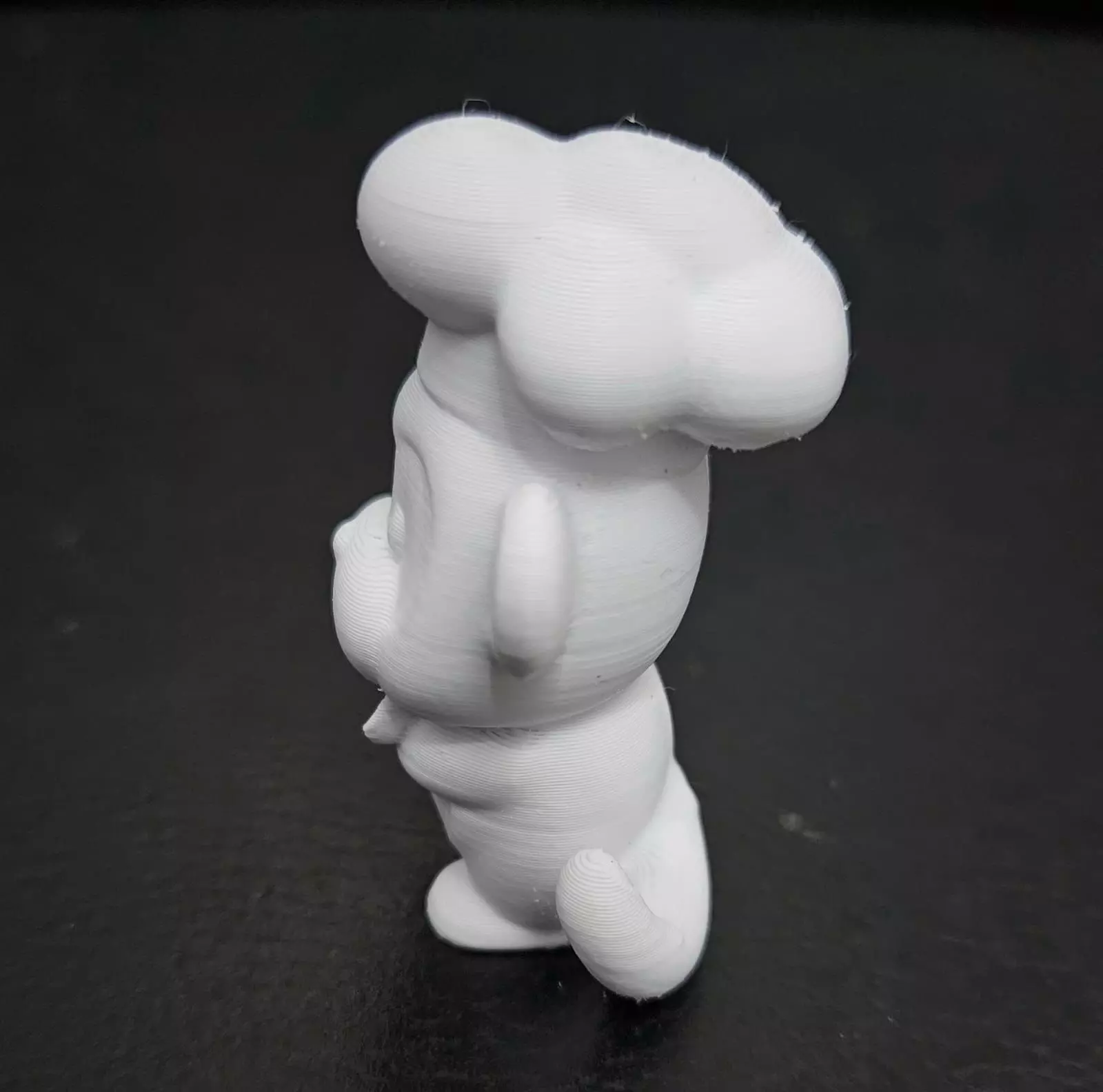 Chef Monkey 3D print model_10