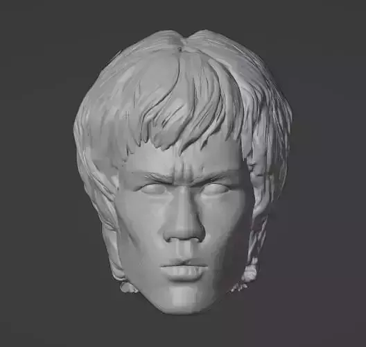 Bruce Lee Head 2