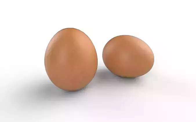 Egg M04