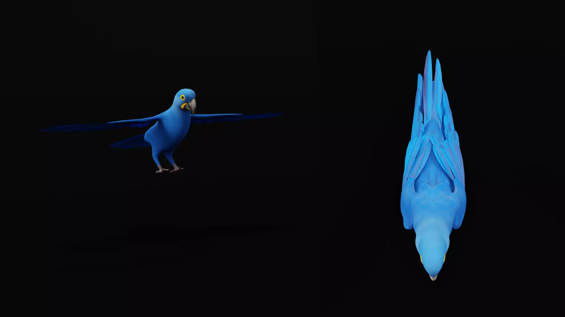 Hyacinth Macaw Parrot Low-poly 3D model_13