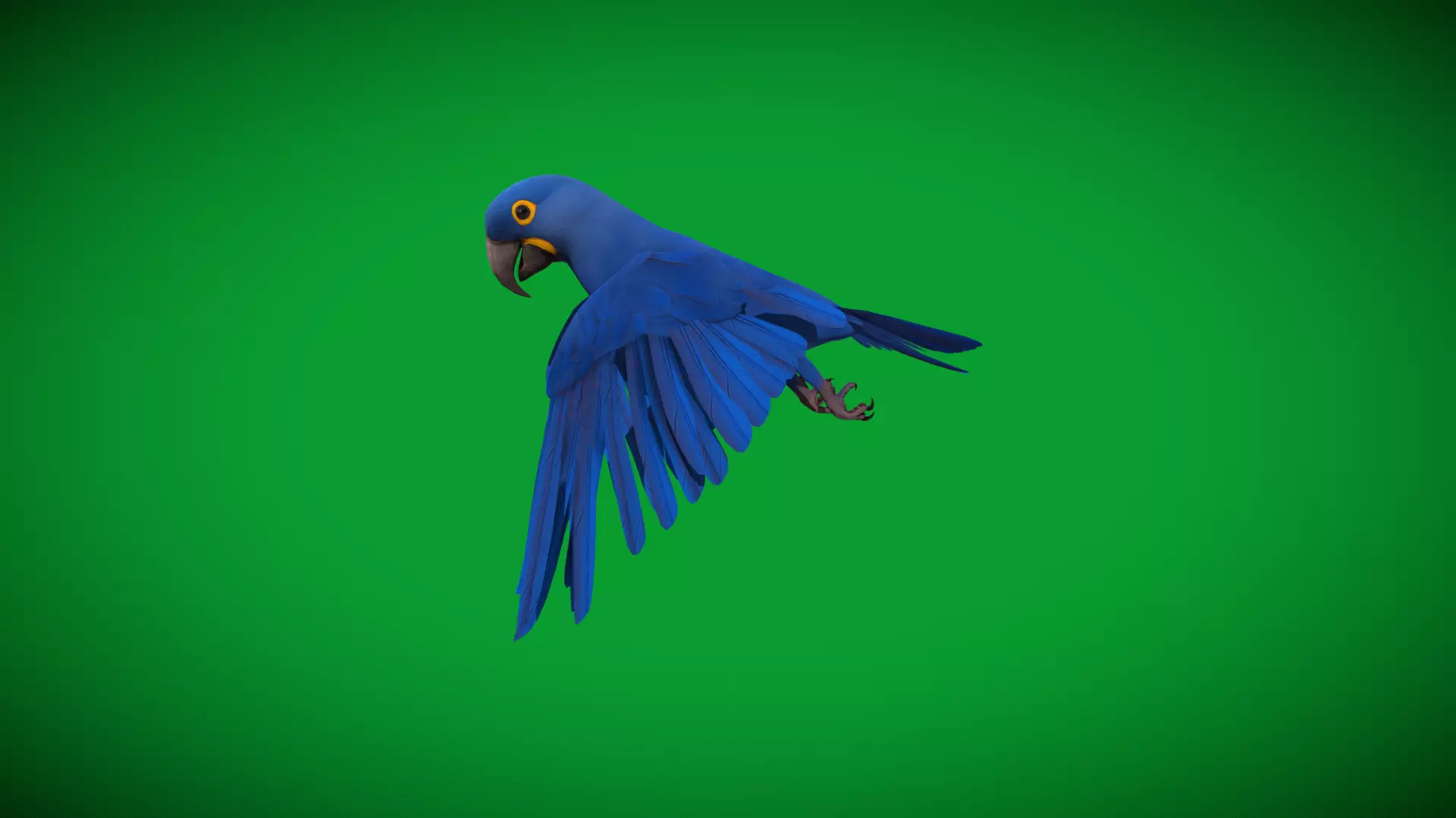 Hyacinth Macaw Parrot Low-poly 3D model_32