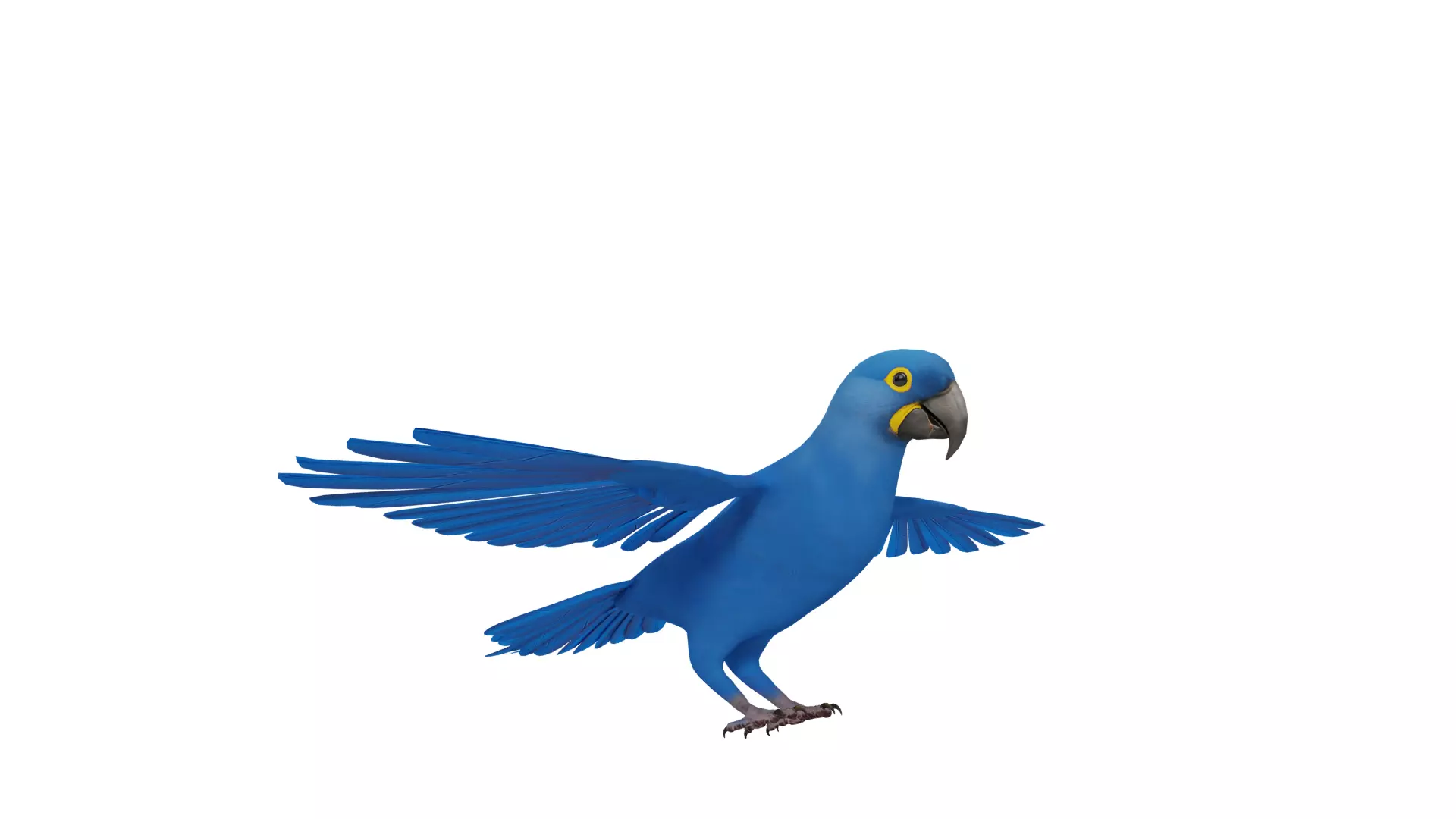 Hyacinth Macaw Parrot Low-poly 3D model_50