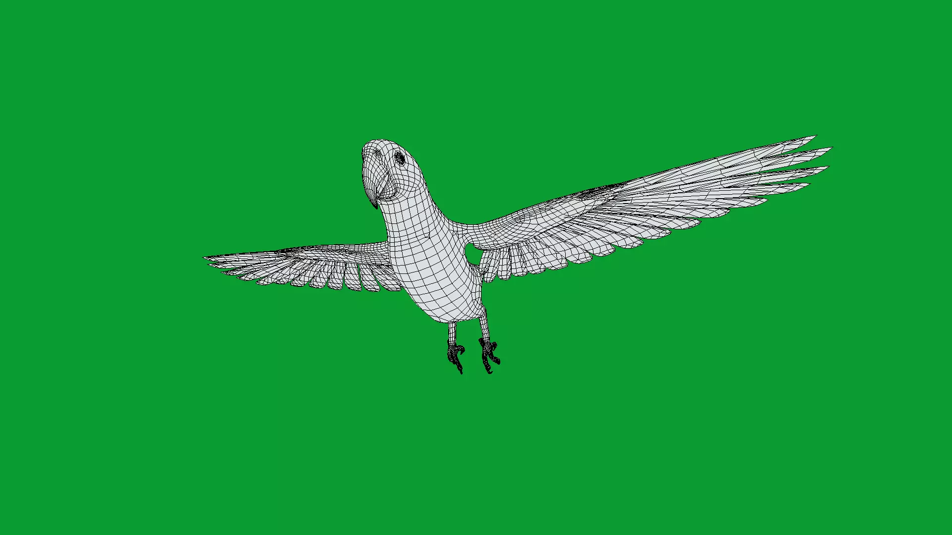 Hyacinth Macaw Parrot Low-poly 3D model_27