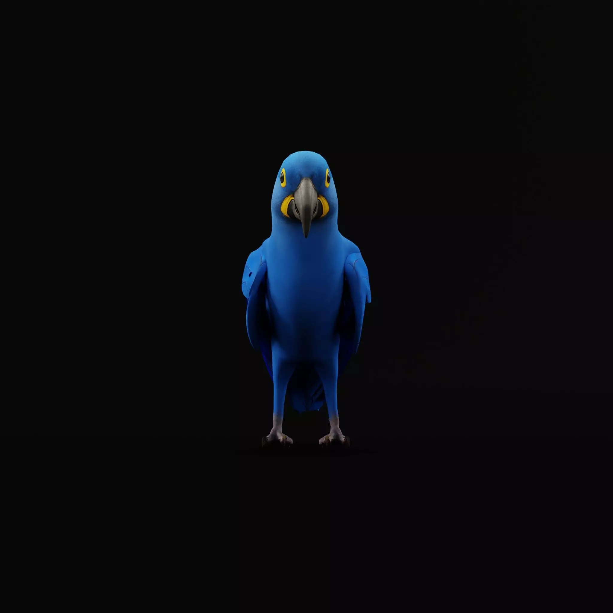 Hyacinth Macaw Parrot Low-poly 3D model_38