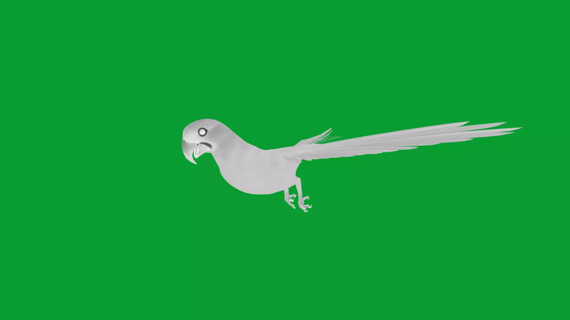 Hyacinth Macaw Parrot Low-poly 3D model_14