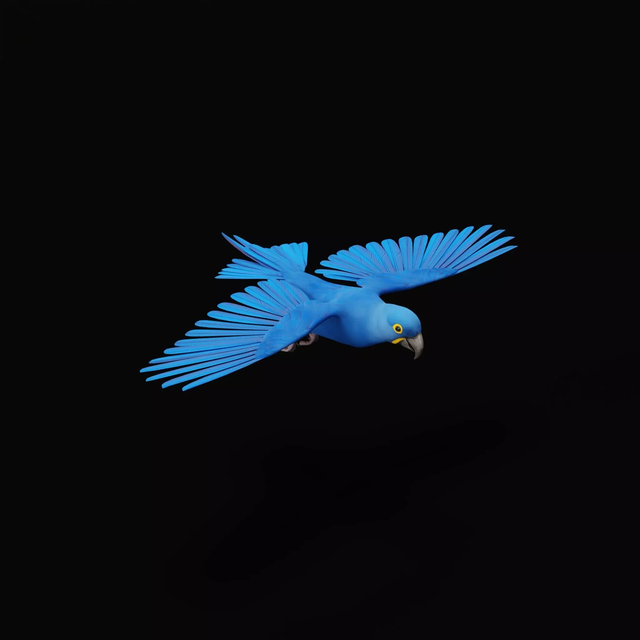 Hyacinth Macaw Parrot Low-poly 3D model_34