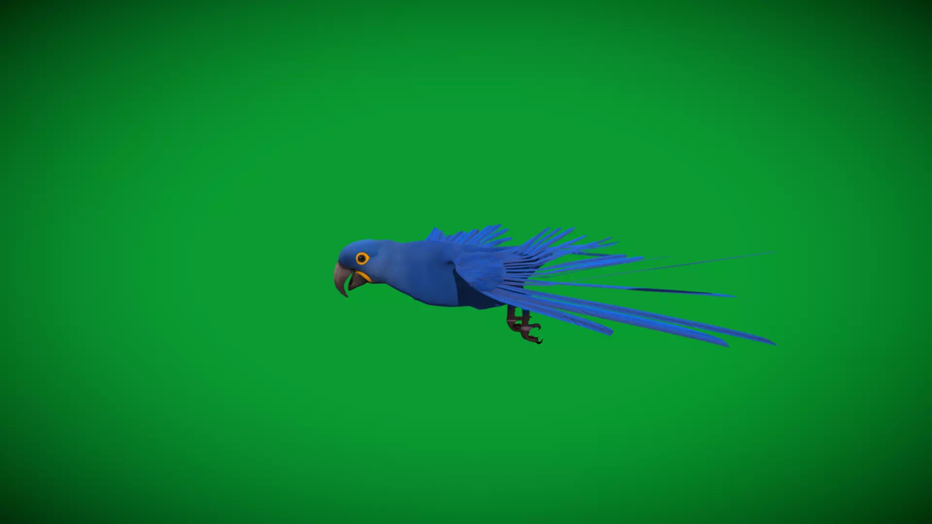 Hyacinth Macaw Parrot Low-poly 3D model_36