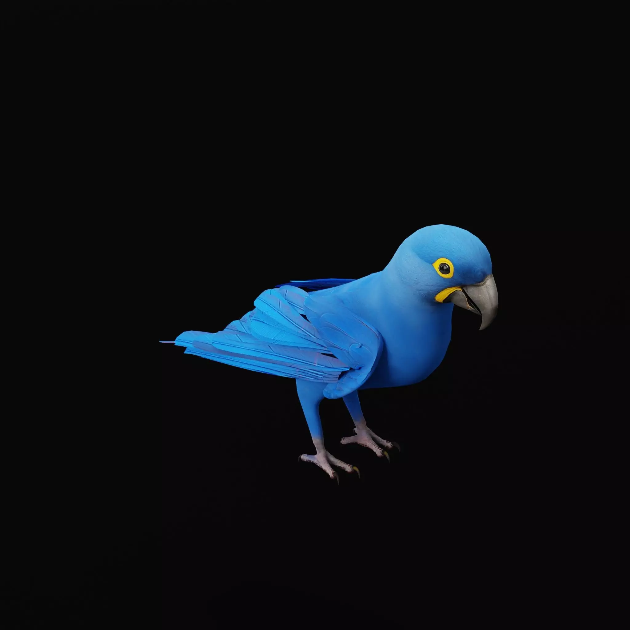 Hyacinth Macaw Parrot Low-poly 3D model_46