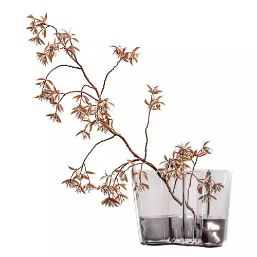 plants bouquet vase 54
