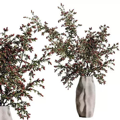 plants bouquet vase 55