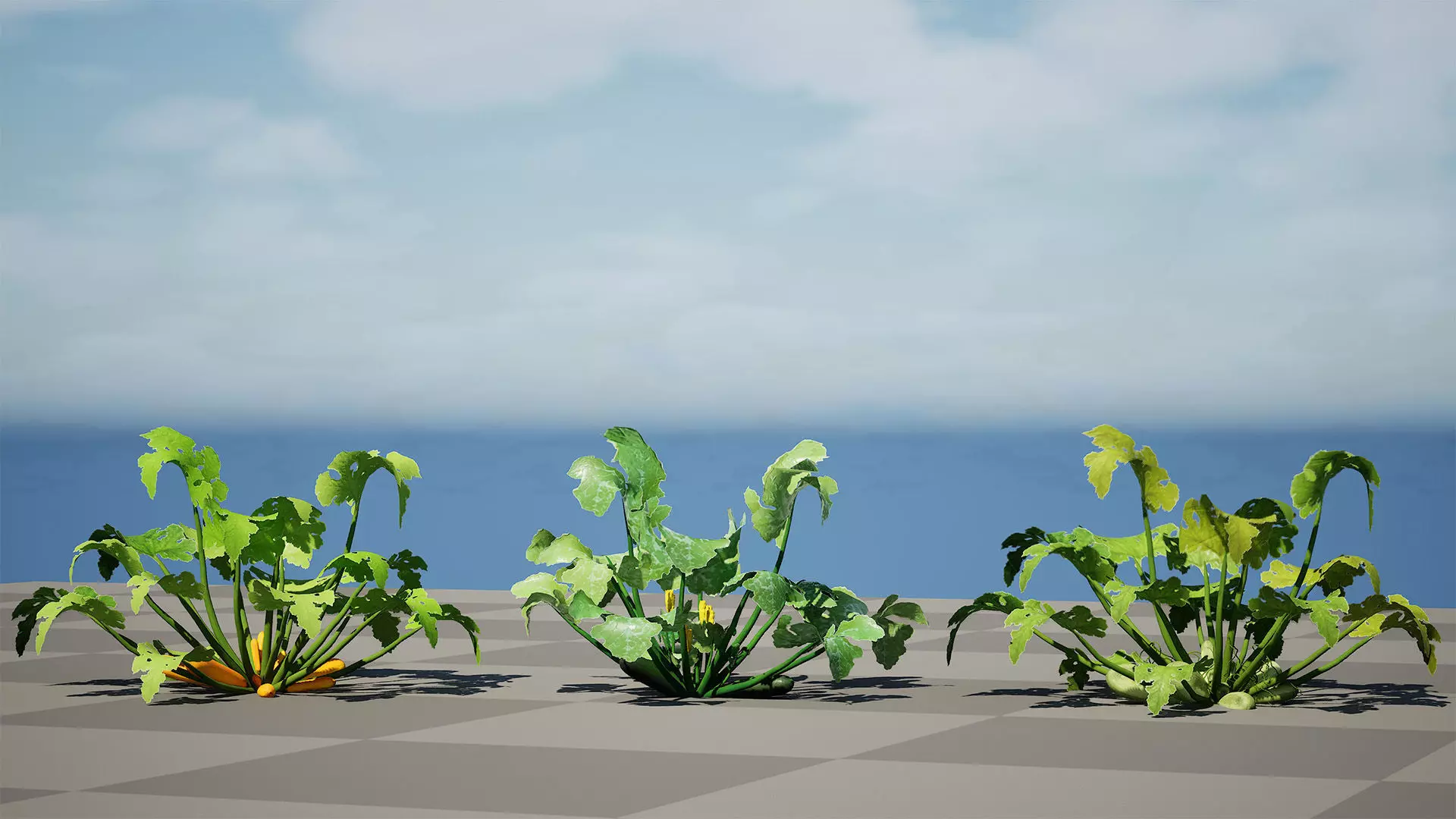 Moroccan Zucchini Vegetable Plants Low-poly 3D model_9