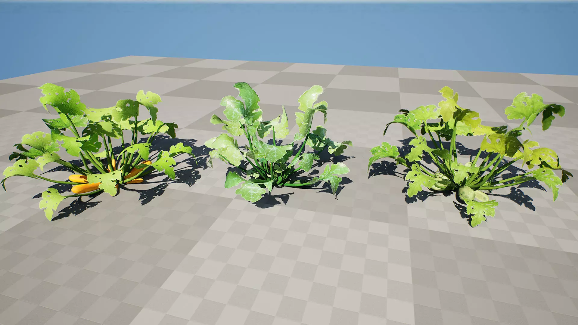 Moroccan Zucchini Vegetable Plants Low-poly 3D model_3
