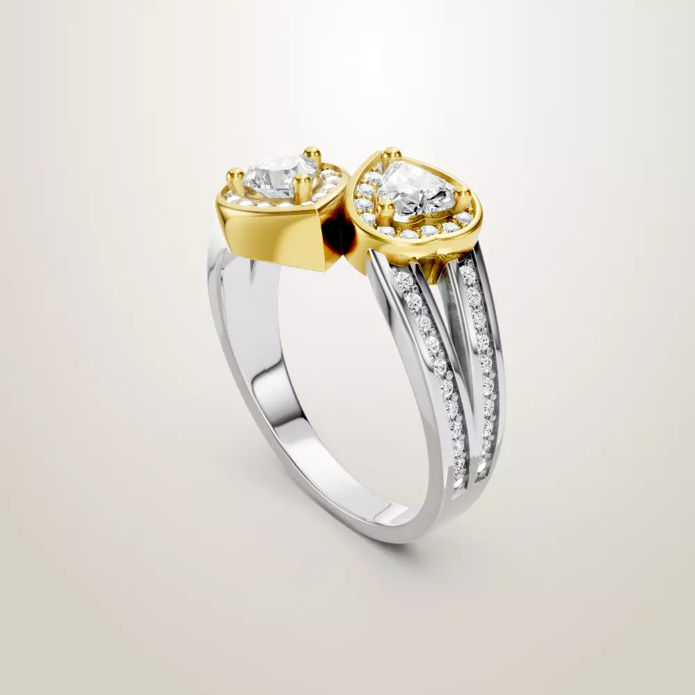 Heart Shaped Two Stone Engagement 32 models designes 3D Model Collection_59