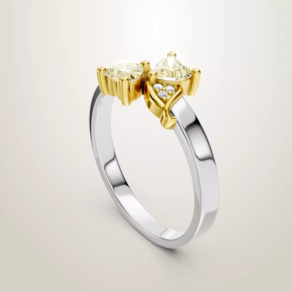 Heart Shaped Two Stone Engagement 32 models designes 3D Model Collection_17