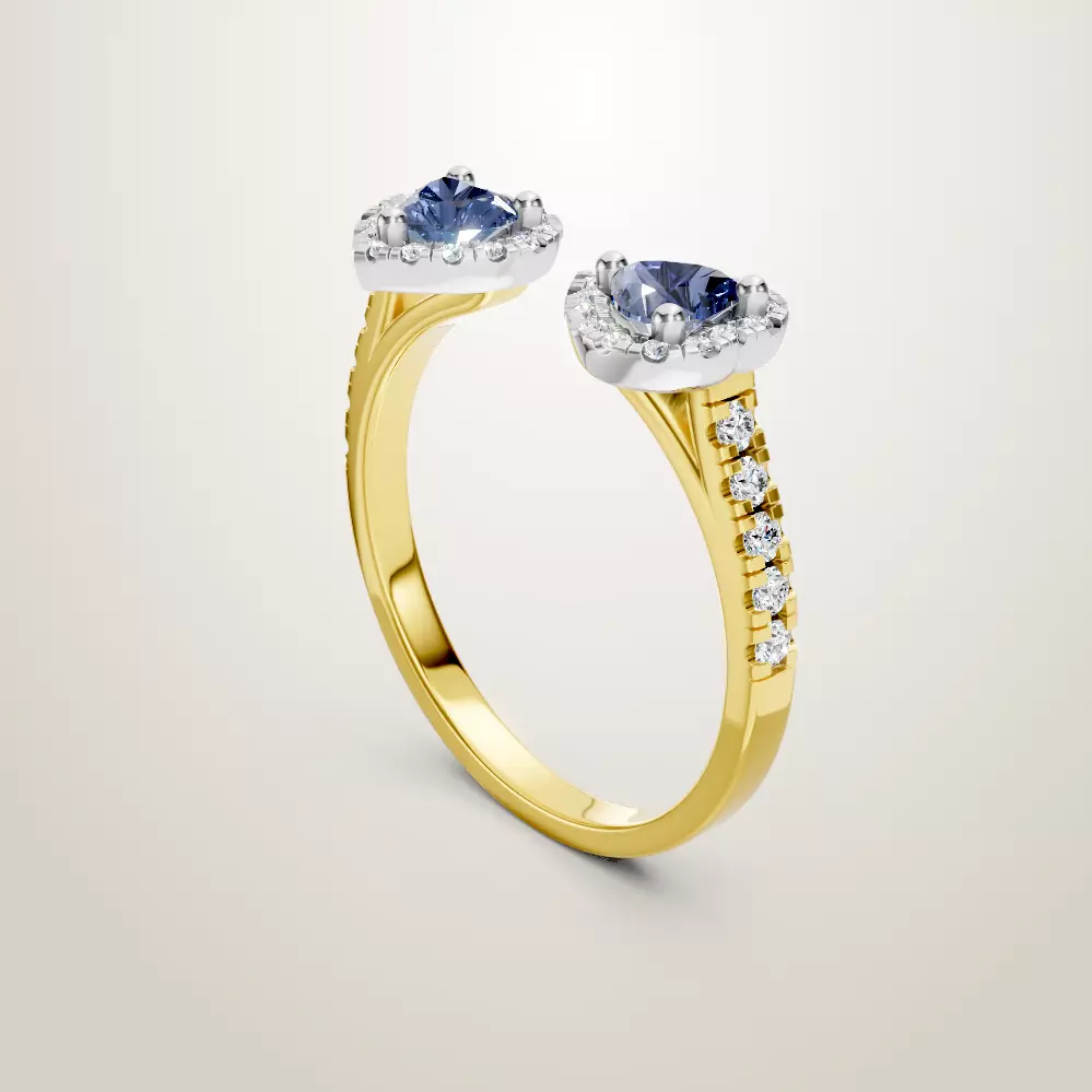 Heart Shaped Two Stone Engagement 32 models designes 3D Model Collection_55