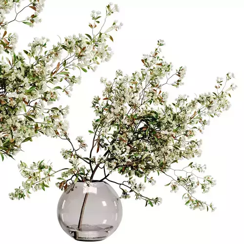 plants bouquet vase 56