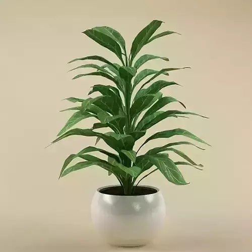 Plant 022
