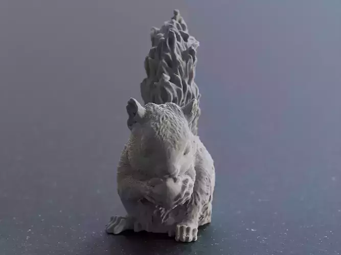 Realistic Squirrel 3D Printing Model