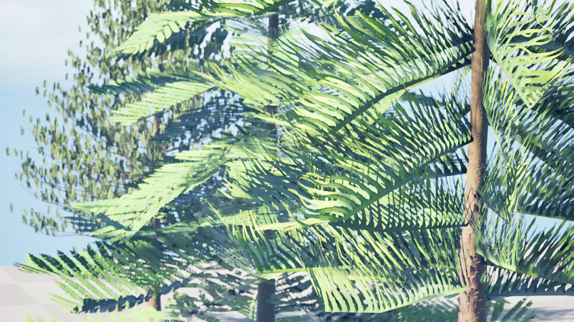 Moroccan Norfolk Island Pine Low-poly 3D model_4