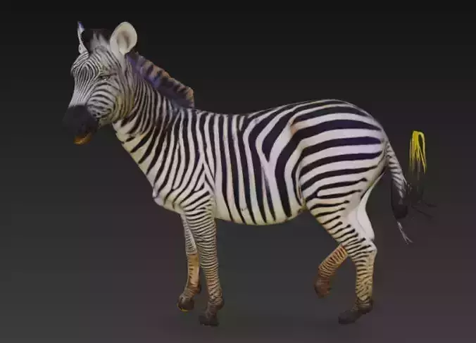 Striped Zebra 3D Model For Print