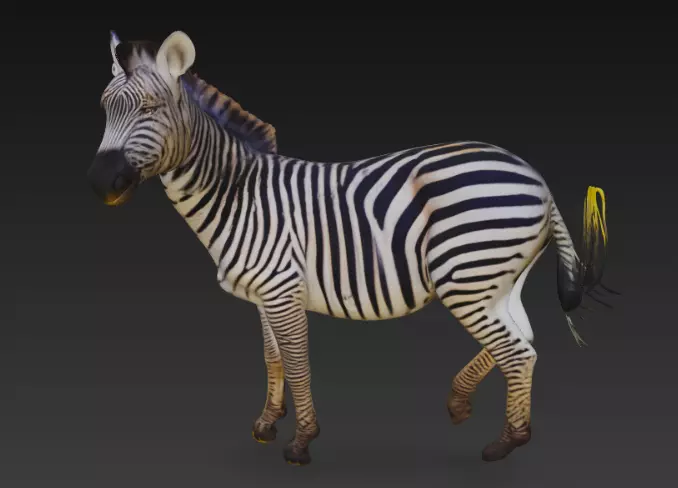 Striped Zebra 3D Model For Print 3D print model