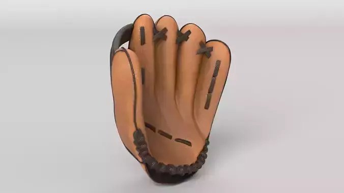 Baseball Glove