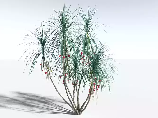 EVERYPlant Scrub Breadfruit 3D model