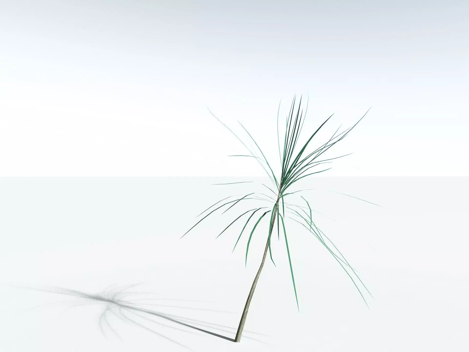 EVERYPlant Scrub Breadfruit LowPoly Low-poly 3D model_27