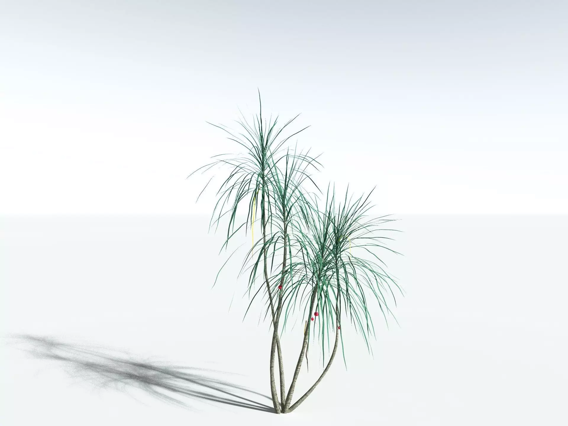 EVERYPlant Scrub Breadfruit LowPoly Low-poly 3D model_4