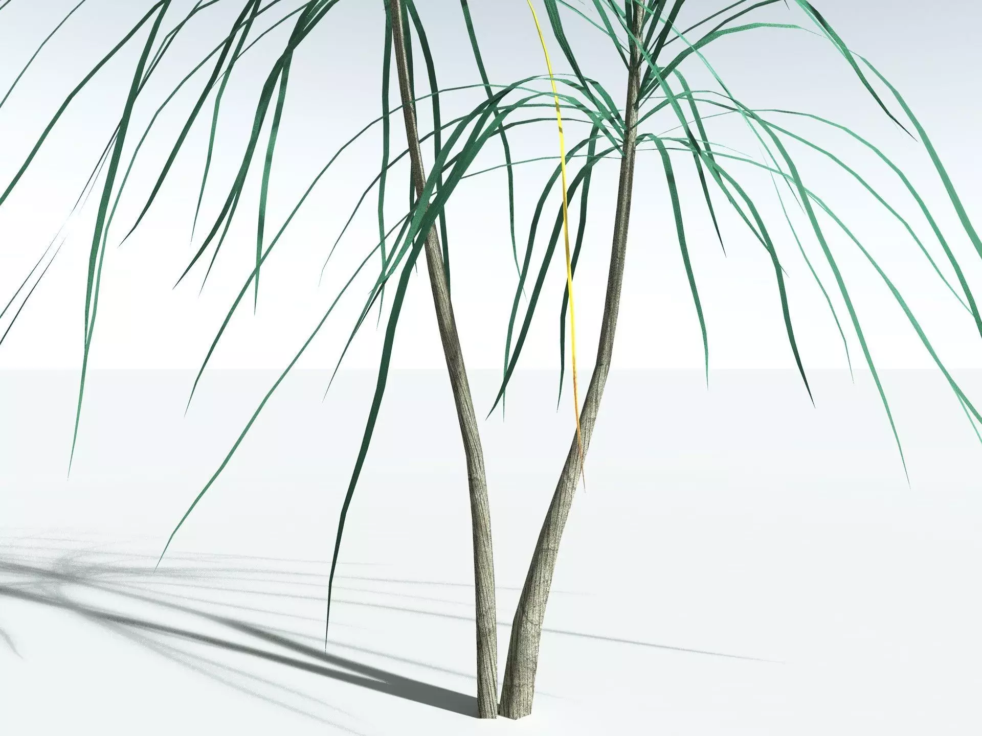 EVERYPlant Scrub Breadfruit LowPoly Low-poly 3D model_25