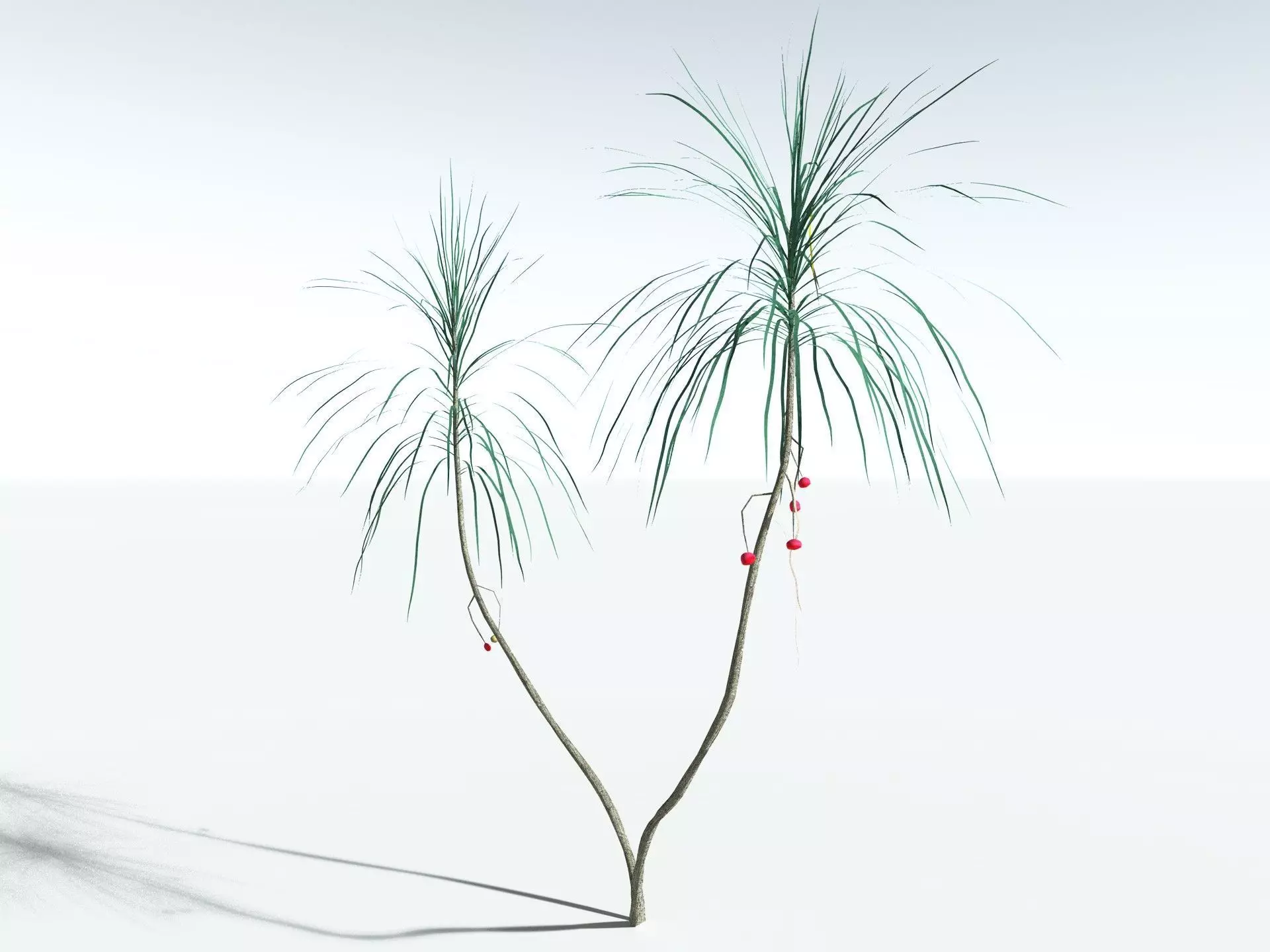 EVERYPlant Scrub Breadfruit LowPoly Low-poly 3D model_36