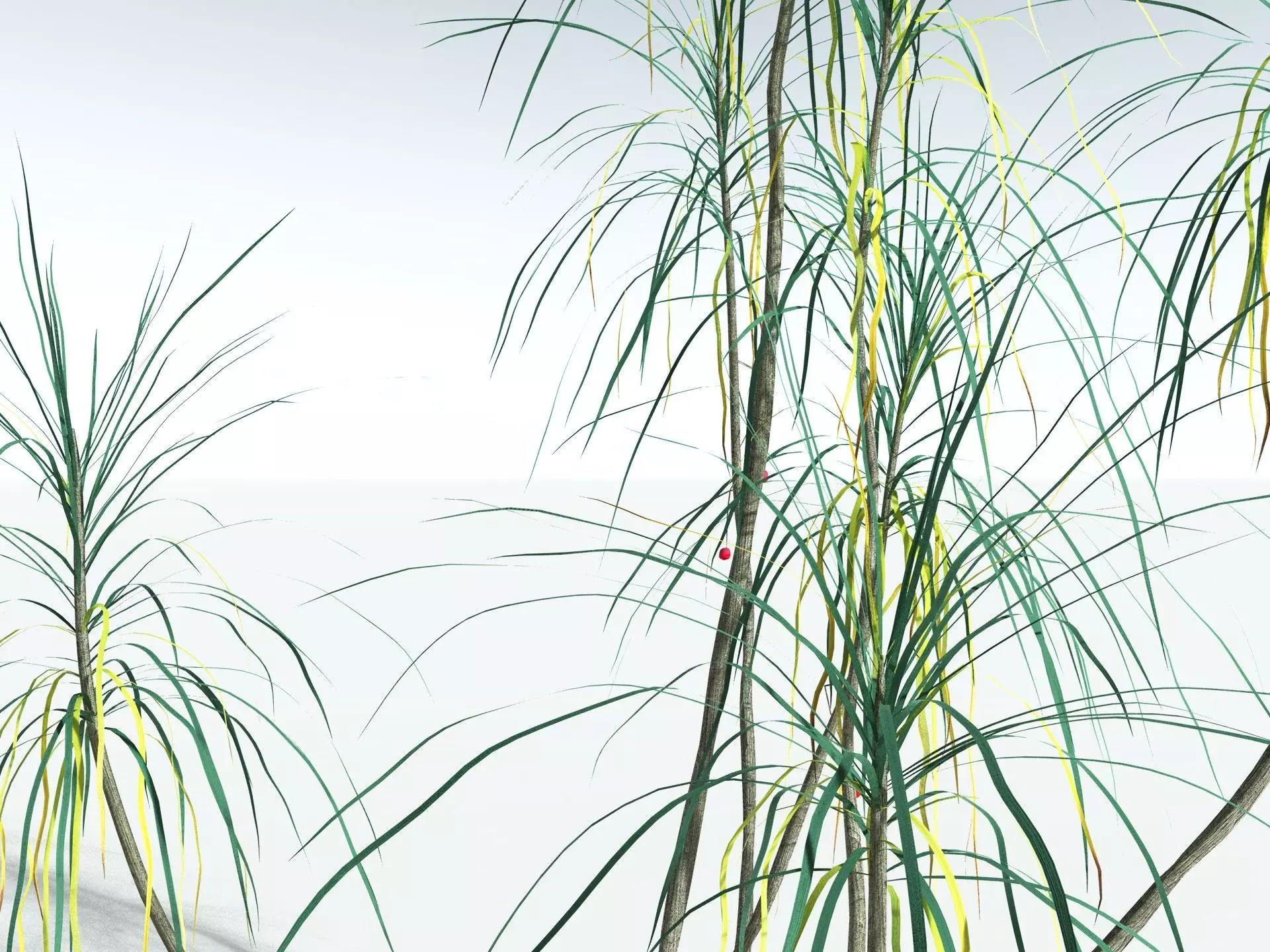 EVERYPlant Scrub Breadfruit LowPoly Low-poly 3D model_13