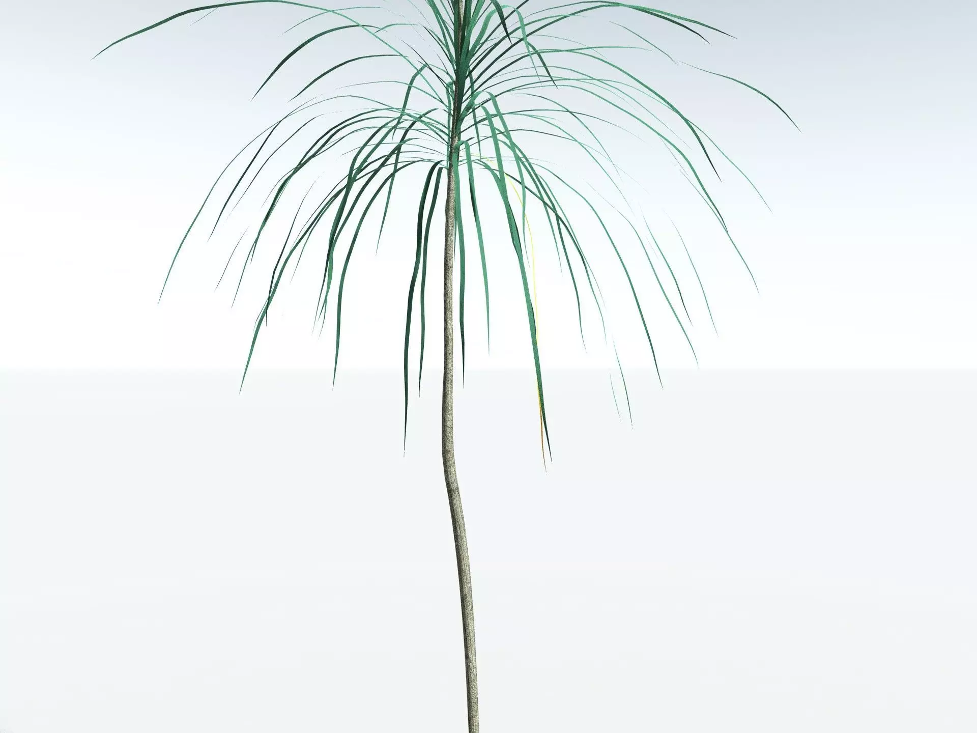 EVERYPlant Scrub Breadfruit LowPoly Low-poly 3D model_35