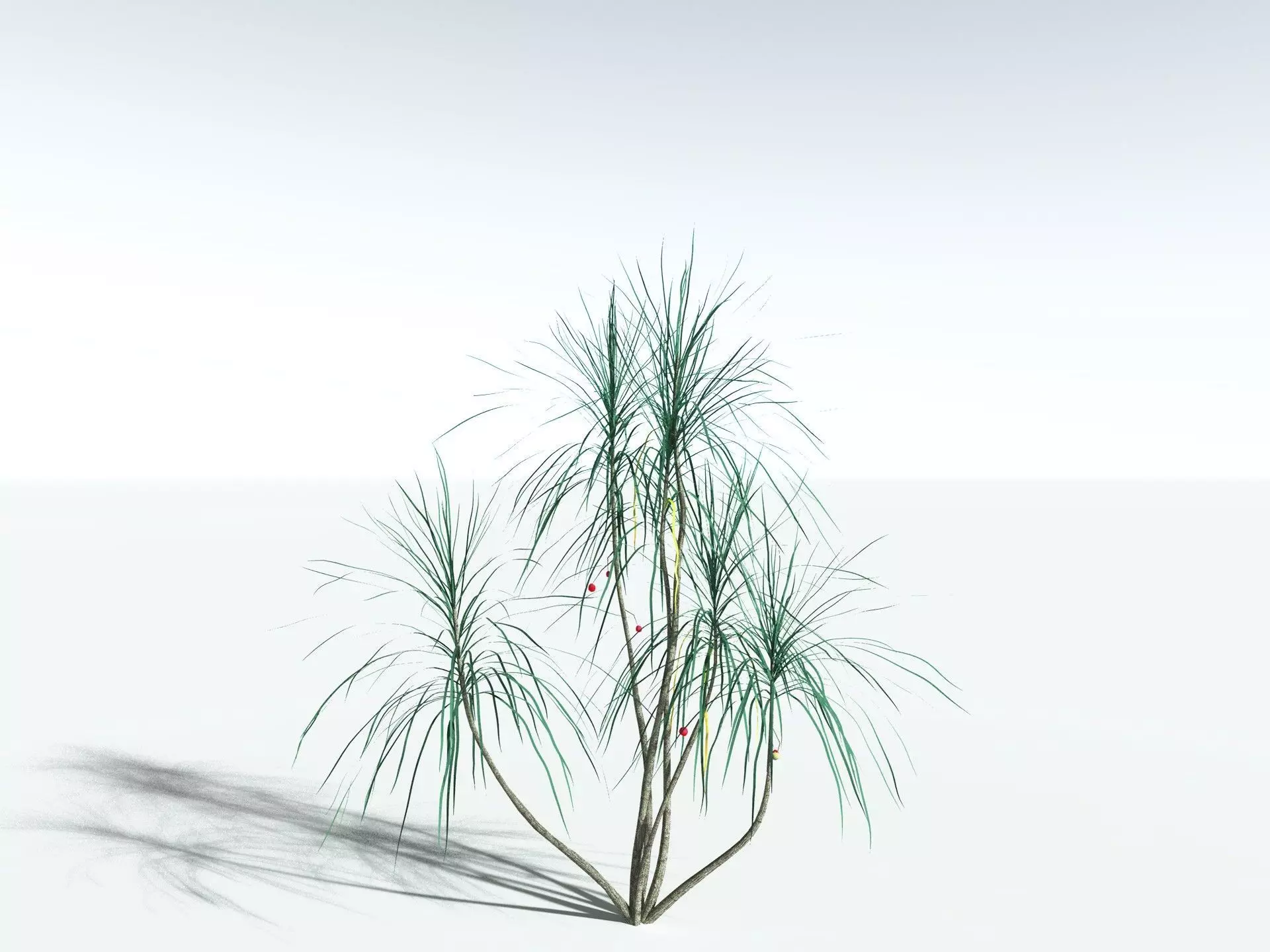 EVERYPlant Scrub Breadfruit LowPoly Low-poly 3D model_22