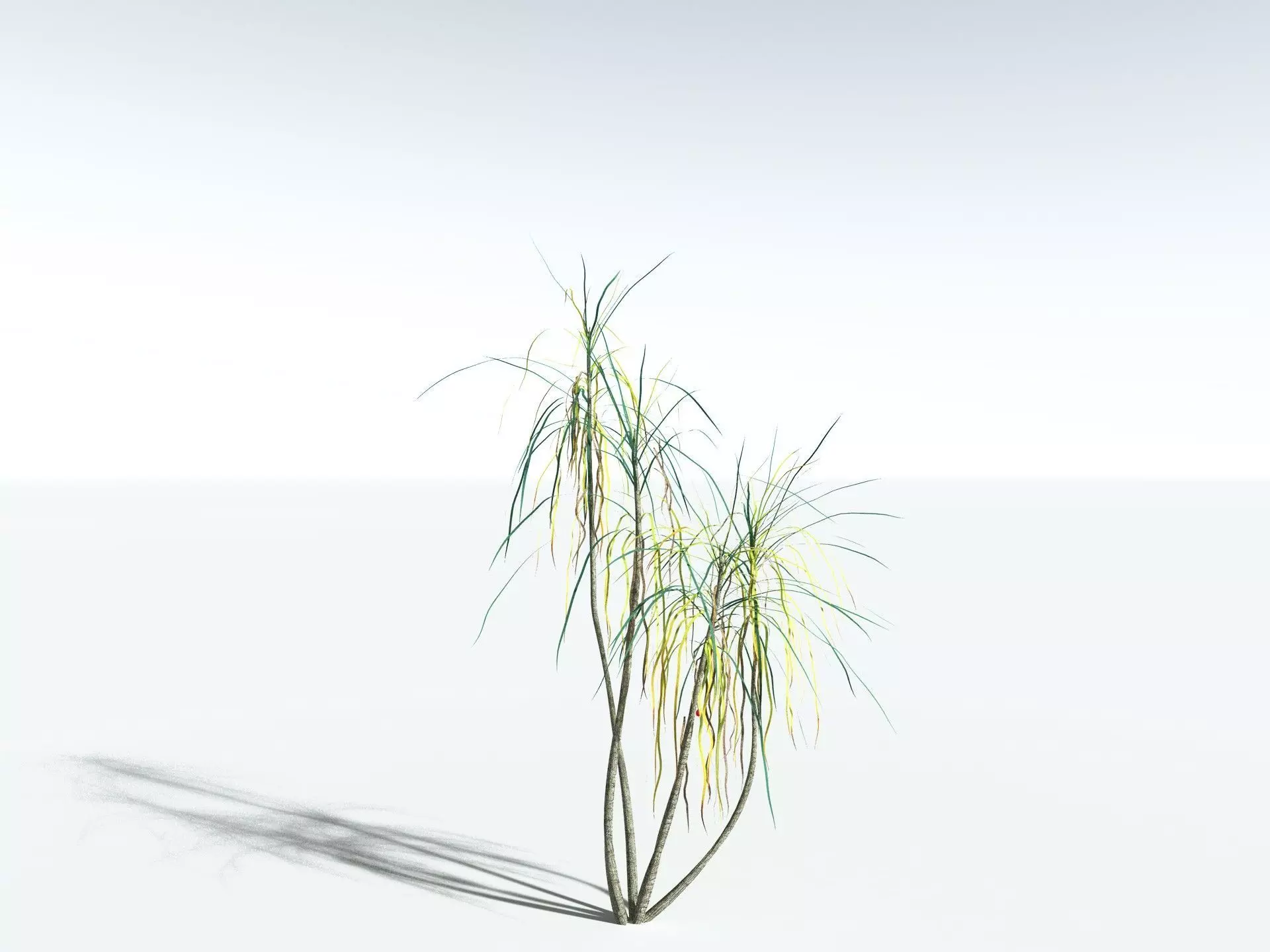 EVERYPlant Scrub Breadfruit LowPoly Low-poly 3D model_14