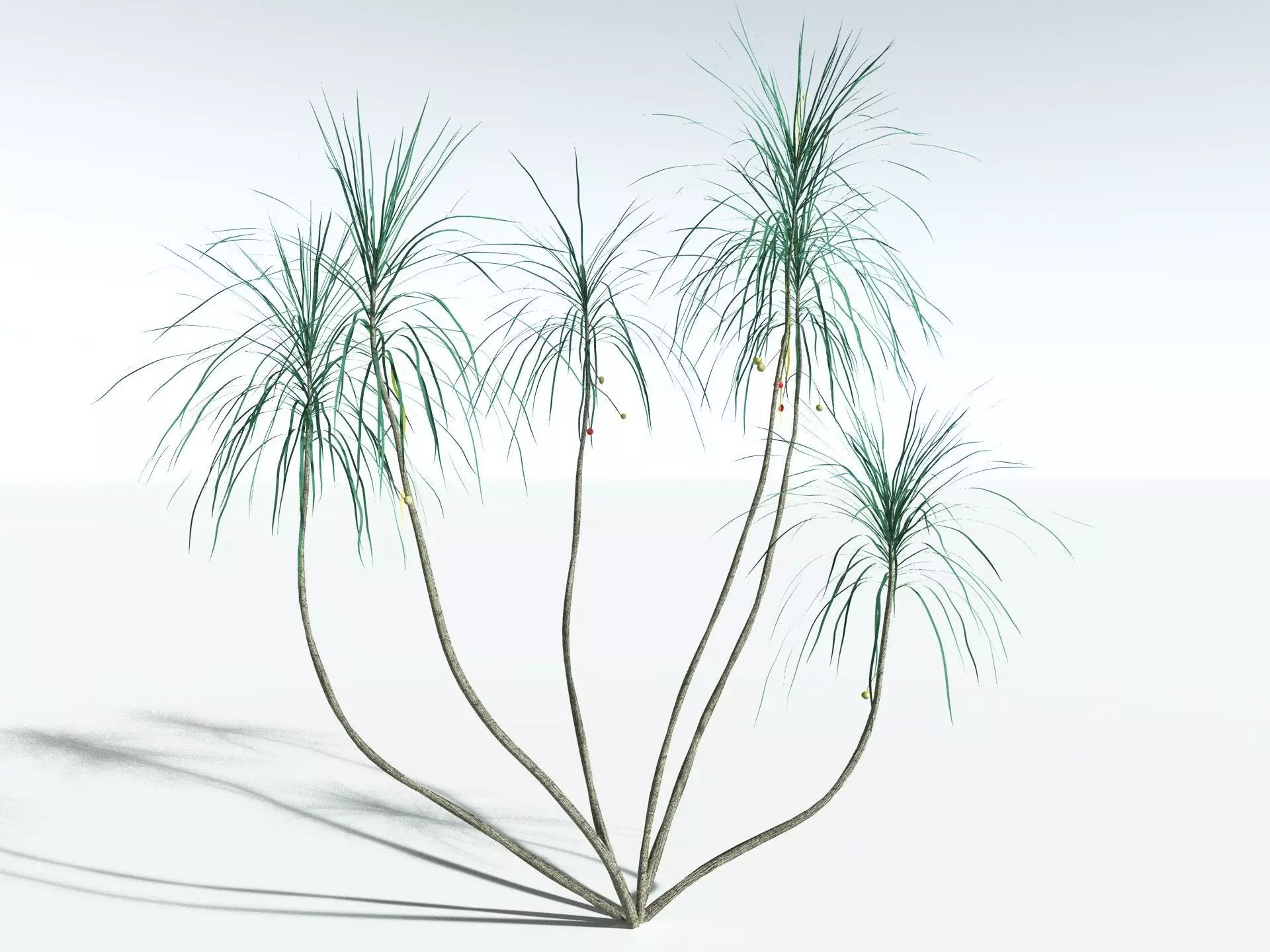 EVERYPlant Scrub Breadfruit LowPoly Low-poly 3D model_8