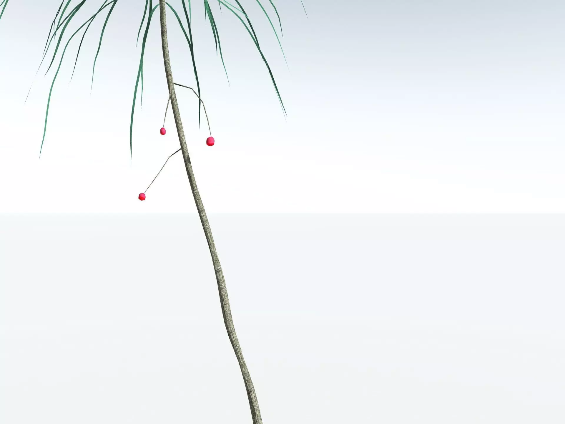 EVERYPlant Scrub Breadfruit LowPoly Low-poly 3D model_33