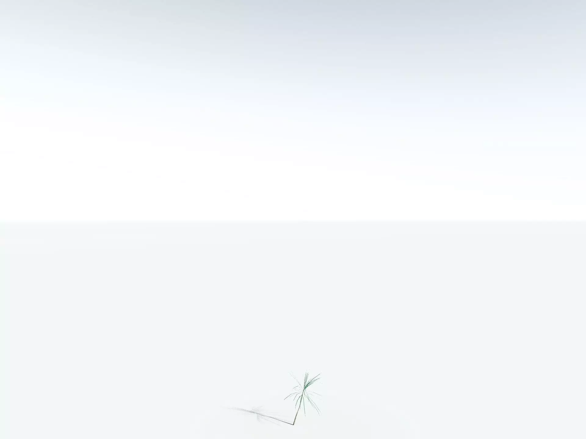 EVERYPlant Scrub Breadfruit LowPoly Low-poly 3D model_26