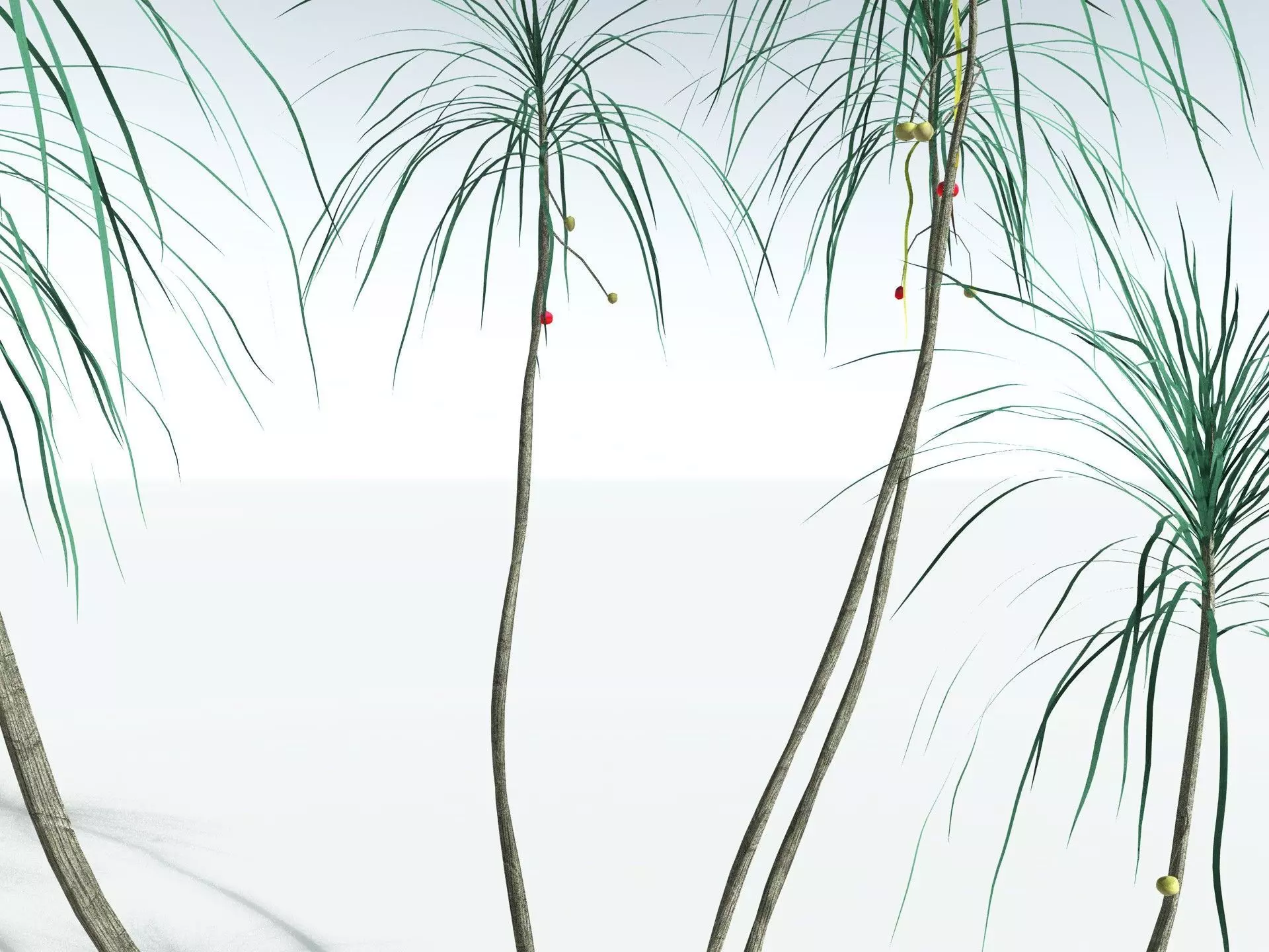 EVERYPlant Scrub Breadfruit LowPoly Low-poly 3D model_9