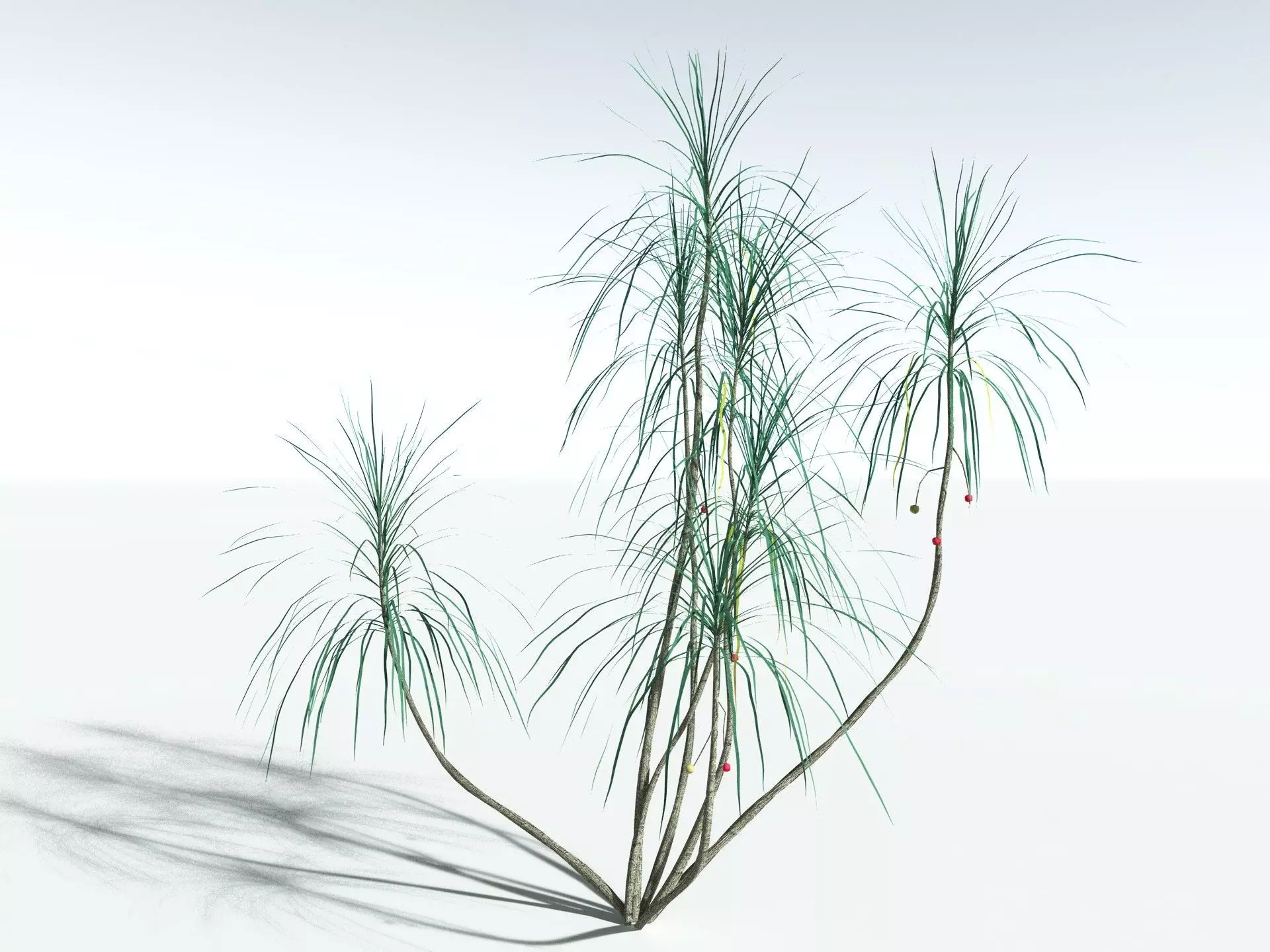 EVERYPlant Scrub Breadfruit LowPoly Low-poly 3D model_2