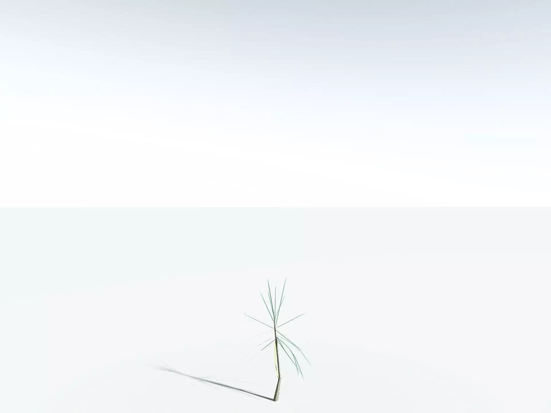 EVERYPlant Scrub Breadfruit LowPoly Low-poly 3D model_29