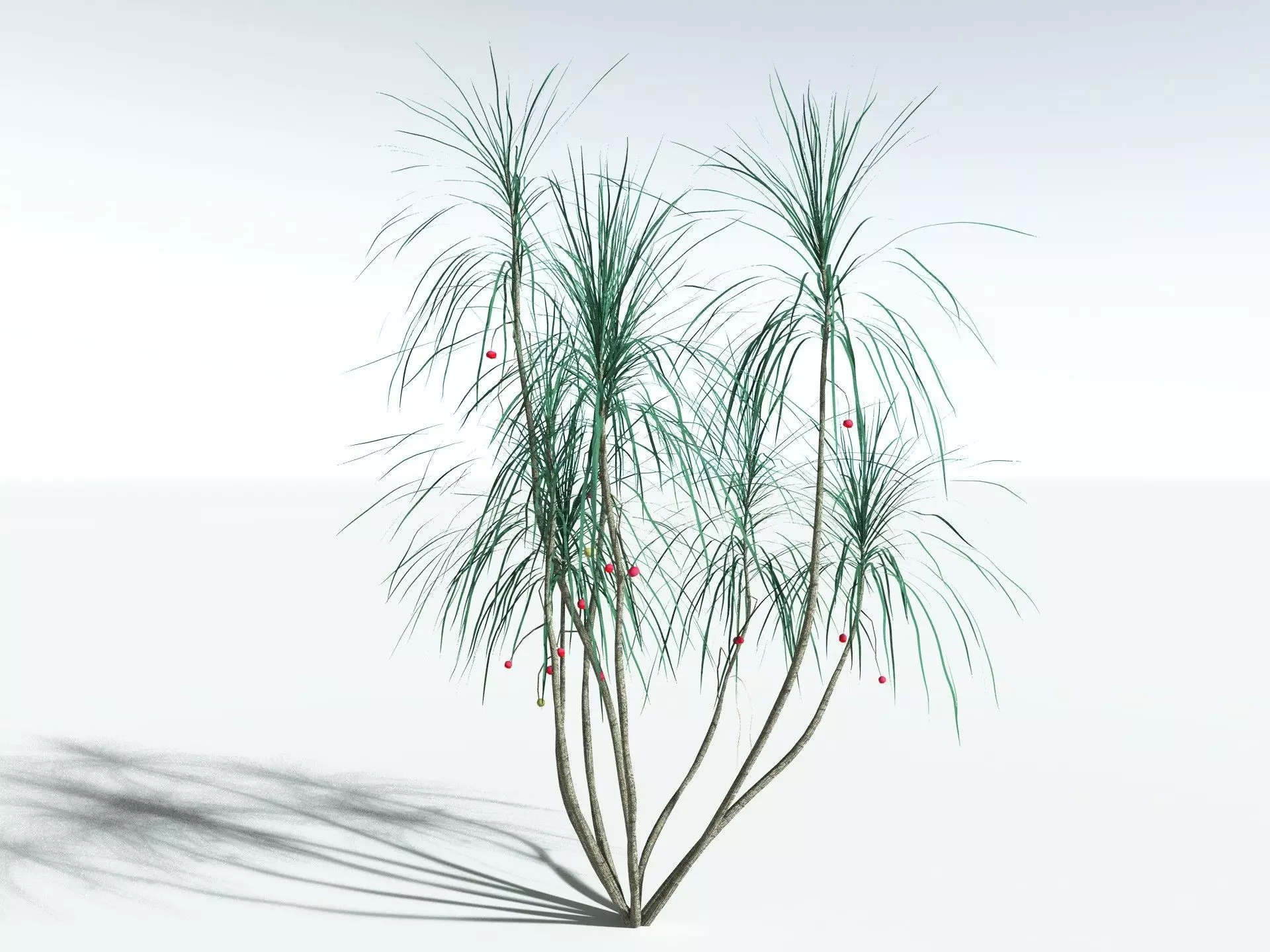 EVERYPlant Scrub Breadfruit LowPoly Low-poly 3D model_10