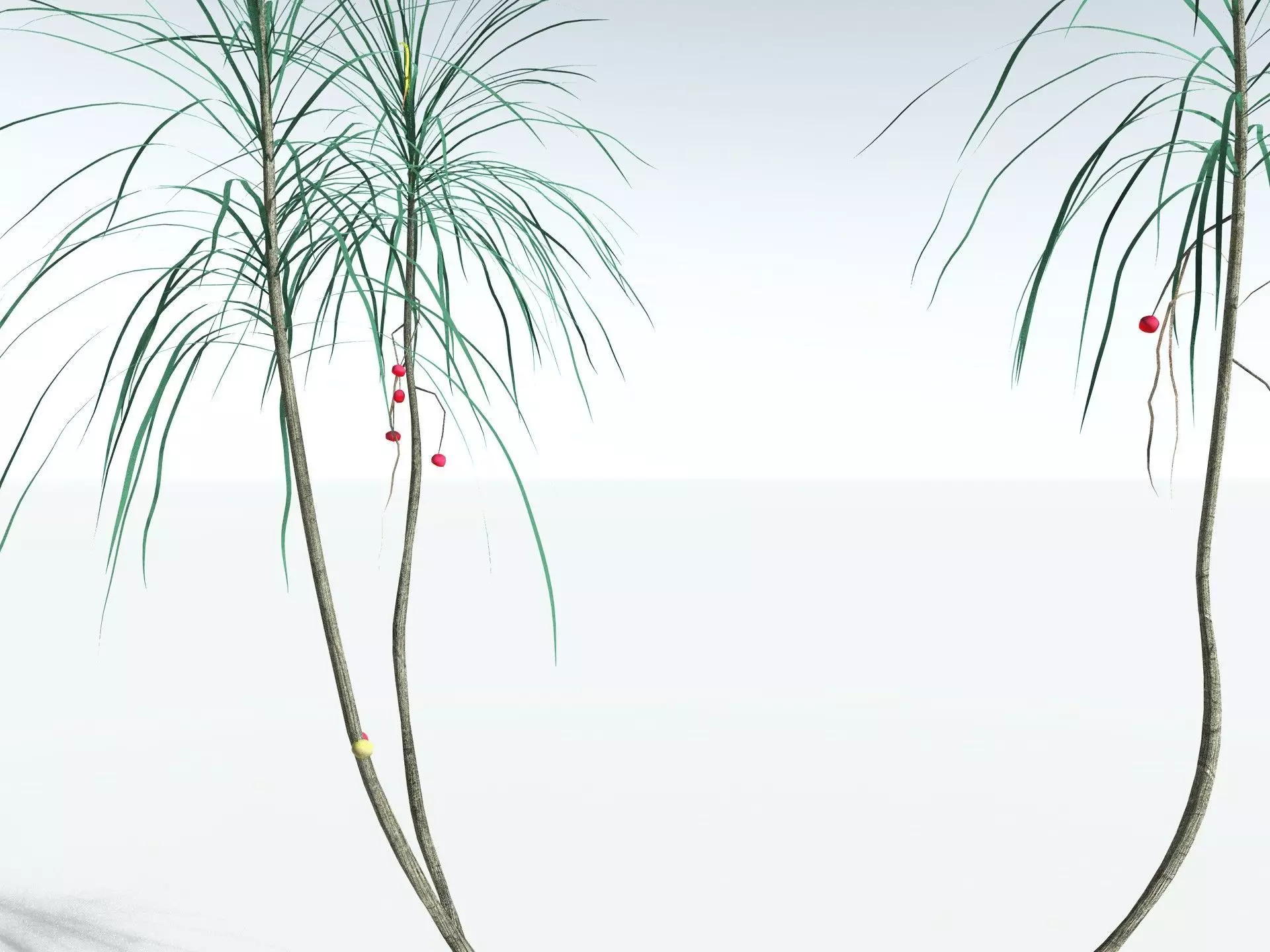 EVERYPlant Scrub Breadfruit LowPoly Low-poly 3D model_7