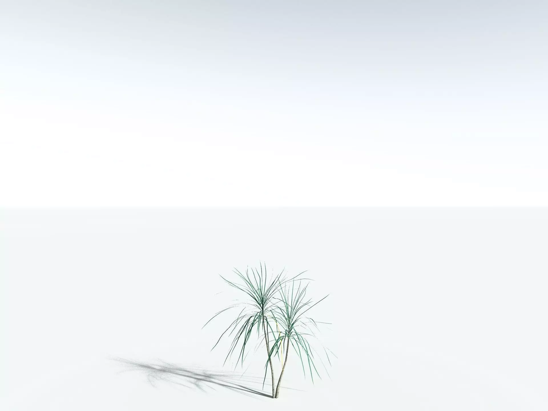 EVERYPlant Scrub Breadfruit LowPoly Low-poly 3D model_24