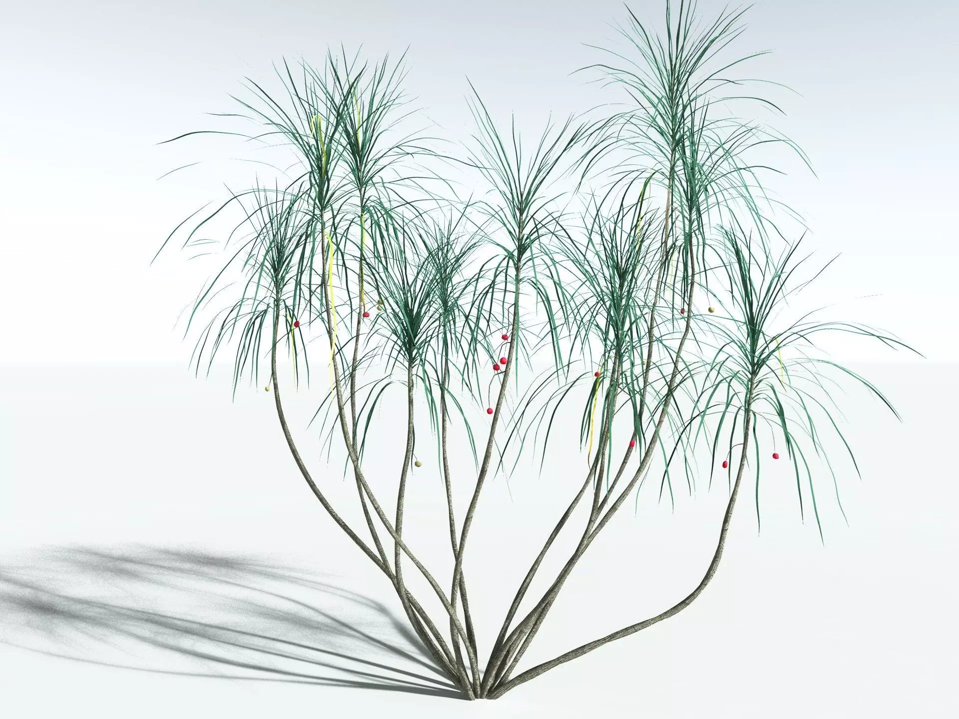 EVERYPlant Scrub Breadfruit LowPoly Low-poly 3D model_38